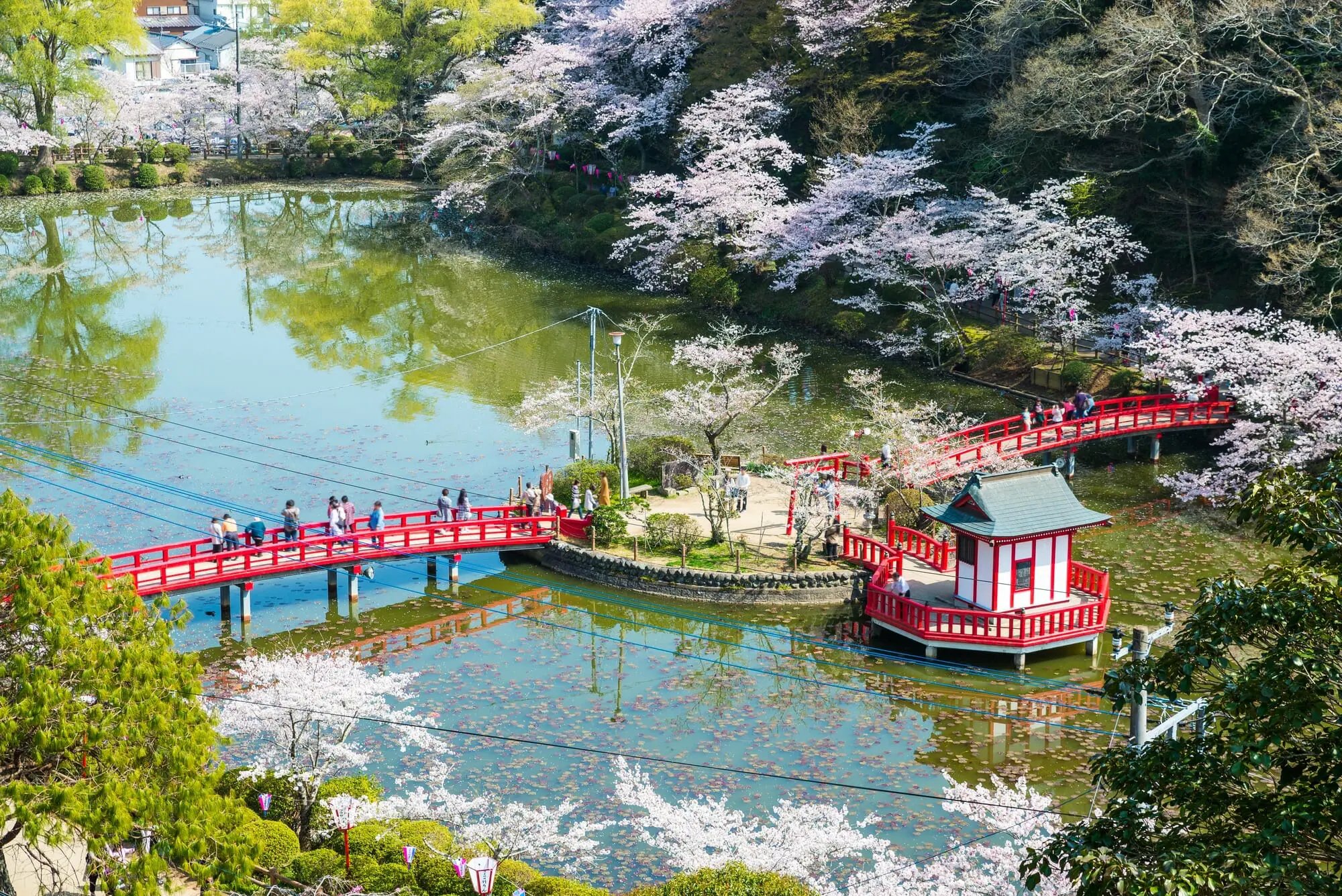 🌳 지바 공원 (치바코엔) 이미지 10